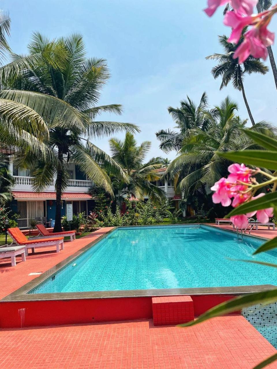 Kingfisher Blues Siolim Exterior foto